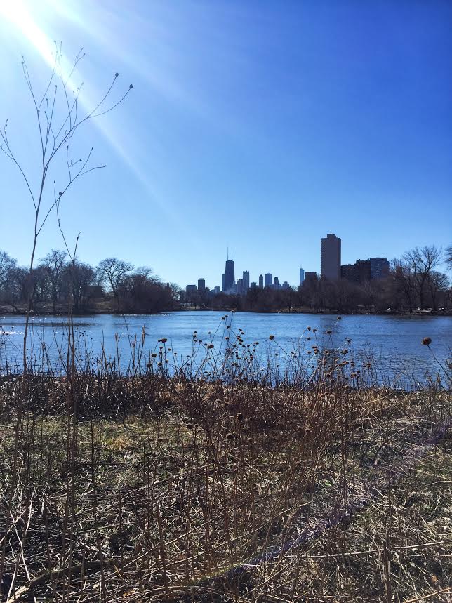 Lincoln Park North Pond City View